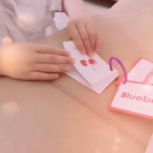 FAST SELLING CARDS Early Learning Flash Card Kad Animal Shape Number Alphabet Fruit Weather Kids Education
