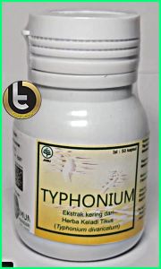 Typhonium ( Obat Herbal ) Anti Kanker / Obat Kanker  Stadium Berapapun