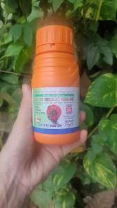 [THIEN THINH SHOP] Thuốc trừ đạo ôn lá đạo ôn cổ bông RICE GOLD 421SC chai 240ml khô nhanh vết bệnh thấm sâu lưu dẫn