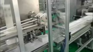 Oolong Mama Portable 120-Pack Organic Hypoallergenic Baby Wipes with Natural Color - Moisturizing Alcohol-Free with Bonus Lacoco Foundation