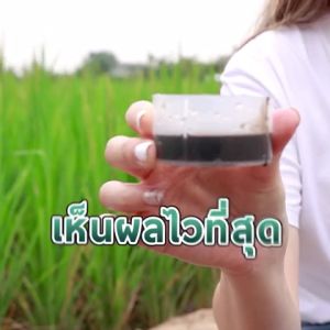 อะมิโนมิค อาหารเสริมพืชทางใบ สูตรเร่งราก เร่งดอก ใบเขียว ใบหนา พืชต้นโตไว ขยายขนาดผล ขั้วเหนียว เพิ่มน้ำหนัก ลดต้นโทรม ทำใบ ยืดใบ สะสมอาหาร อะมิโนพืช ปุ๋ยน้ำ ฟื้นต้น แก้ต้นโทรม แก้ต้นแคระ เพิ่มผลผลิต ขนาด 1 ลิตร