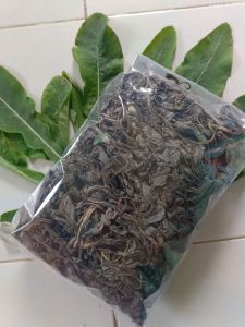 Daun tempuyung kering per 250 gram untuk obat herbal