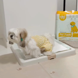WangWang แผ่นรองซับสัตว์เลี้ยงพรีเมี่ยม 60x45 ซม. (40 แผ่น) – ซึมซับดี แห้งไว ลดกลิ่น ไม่ซึมเปื้อน
