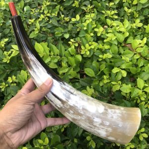 Yunnan Natural Handmade Large Size Yak Skull LaCorne Trumpet Performance Props Horn Dharma-Vessel Warring States LaCorne
