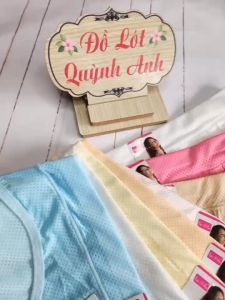 COMBO 10 QUẦN LÓT THÔNG HƠI BIG SIZE (60-75 Kg) Mã 811 Co Giản Thoáng Mát Thấm Hút Mồ Hôi - Đồ Lót Quỳnh Anh