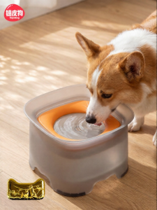 hipidog | Anti-bacterial Floating No Spill Water Bowl