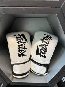 Fairtex BGV14 Microfiber Muay Thai Boxing Gloves White