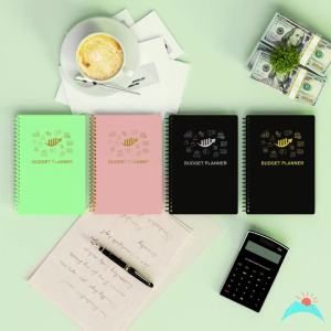 Budget Planner - Monthly Finance Organizer with Expense Tracker Notebook to Manage Your Money Effectively Undated Finance Planner/Account Book Start AnytimemA5(8.6x5.9 inchs)100gsm Paper - Silvery