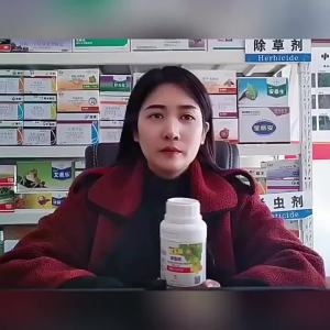 Rongya 50% Monomethyleneurethane   Grape Regulating Growth Breaking Dormancy Germination Neat Growth Regulator Farmers