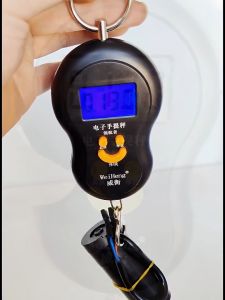 50kg Digital Scale Portable Electronic Mini Scales Hook Handheld LCD Luggage Scale Fishing Weights Pocket Scale Portable Digital Scale