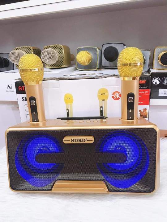 NEW ORIGINAL SDRD KTV Karaoke Bluetooth Speaker with 2 Wireless Mic ...