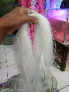ROVING GYPSUM/MAJUN  TIDAK GATAL 1kg