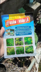 Bộ Khảm-Xoăn Lá-Đọt bunglá mở-Hết xoăn-Ngăn ngừa lây lan-1 bộ pha 50l nước