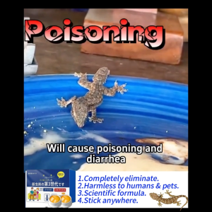 【24 hour shipping】Japcn lizard killer 8PCS lizard repellent lizard trap lizard catcher lizard repellant lizard poison gecko repellent