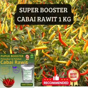Pupuk organik booster perangsang pelebat cabai Rawit 1 kg cepat berbuah tidak mudah rontok