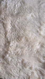 womens Plain sarees with contrasting blouse (colour-Black)