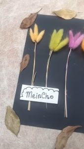 (8 tangkai) Dried Flower Lagurus Bunga Kering LAGURUS Preserved Rustic