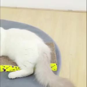 Papan Cakaran Kucing Papan Garuk Kucing Mainan Cat Scratch Board Extra Tebal Garukan Hewan Peliharaan Mister Tani