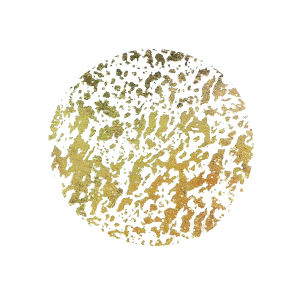 Christmas Disposable Gold Placemats Set 13 Inch Gold Foil Table Mats for Dining Table Thanksgiving Home Party Decoration