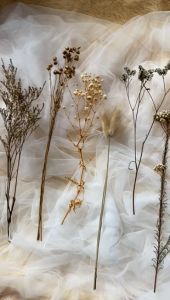 (3 tangkai) Bunga Kering LAGURUS Bunny Tail Ekor Kelinci Phalaris Dried Flower Dekorasi Rustik