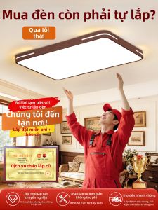 PAIMIJI | Vintage Eye-protecting Ceiling Light for Living Room
