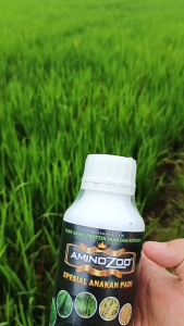 Nurisi AMINOZOO Spesial Perbanyak Anakan Padi 1 Liter Plus ZPT Cegah Asam Asaman Memacu Pertumbuhan