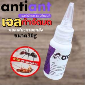 เจลกำจัดมด Anti Ant ขนาด30g. แอนตี้แอนท์ เหยื่อกำจัดมด เจลล่อมด หยดเดียวตายยกรัง