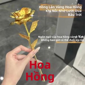 DIANSHIFANG | Simulated Glowing Red Rose Toy