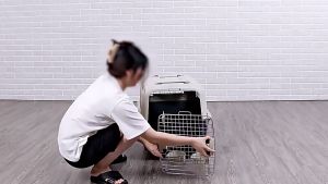 Ngoài trời Pet Dog Backpack Kích thước lớn Cat Dog Backpack Breathable Không gian lớn mạnh mẽ và bền bỉ trường hợp lớn