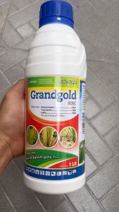 [10 Chai] Nấm hồng Grandgold 80SC 1Lít - khô nhanh chặn đứng vết bệnh chấm dứt thối cành bẹ rỉ sắt thán thư khô cành khô quả phấn trắng ghẻ sẹo xì mủ cháy lá đốm vòng vàng lá đốm lá khô đen bông đốm đen