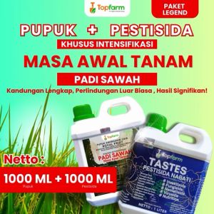 Pupuk Topfarm & Obat Hama Padi Sawah: Solusi Optimal untuk Tanaman Padi