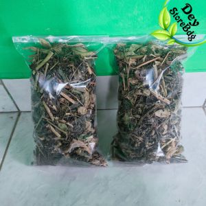 Daun Ciplukan kering Daun batang ciplukan Asli