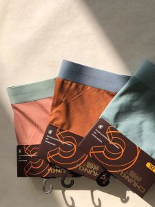 Pure Cool Summer Men's Cute Coquettish Argy Wormwood Underwear