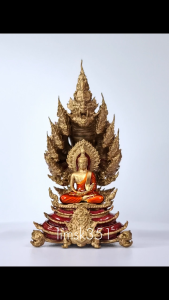 1396 Thailand Buddha Amulet 泰国佛牌. Phra Nakprok Luang Phor Sompratana Run Nawanakracha. Wat Lat Pla Khao. BE2567.