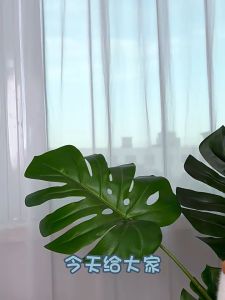 Heeman4u Central air conditioning panel protective cover light-shielding thermostat screen switch coverpanel penyaman udara pusat perlindungan perlindungan suis skrin termostat pelindung cahaya 中央空调面板保护罩，遮光温控器屏幕开关盖中央空调带扣开关面板保护盖防溅盒防误触摸卫生间遮光插座粘贴式