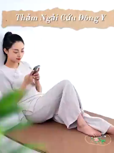 Thảm Ngải Cứu đông Y Nội địa Trung (không kèm gối) AL1438. Hỗ trợ giảm đau lưng mỏi vai gáy đau thần kinh tọa.