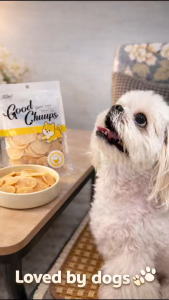 Dog Treats Chicken Chips 100g | Natural Dog Snack | High Protein Low Fat | Healthy Training Reward | Pet Treats