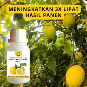 Pupuk Lemon Cepat Berbuah / Pupuk Pelebat Buah Lemon / Pupuk Booster Lemon Cair