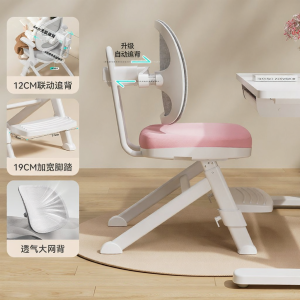 ZHIXUEKU | Adjustable Posture Correcting Study Chair