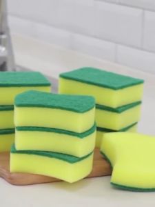 CTR SPONGE Scouring Pad