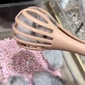 Kẹp bắt gắp chuột hamster an toàn tiện lợi (mẫu mới) - Love Pets Shop