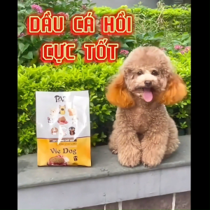 2KG Thức ăn hạt CHÓ PETVIE bổ sung DẦU CÁ HồI và RAU Củ giúp Lông khỏe giảm rụng giảm chảy nước mắt