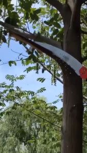 เลื่อยตัดกิ่งไม้ต่อด้ามได้ ปลายโค้ง ขนาด 14 นิ้ว ทนทานต่อการใช้งานสะดวกสบายในราคา กระชับมือ การใช้งานสะสม