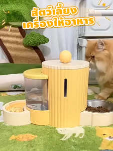 Pawblic 🥣ชามอาหารแมว ที่ให้อาหารแมวอัตโนมัติ ที่ให้น้ำสัตว์เลี้ยง ที่ให้อาหารสัตว์เลี้ยง สเตนเลส ความจุขนาดใหญ่ 1.5kg/1L