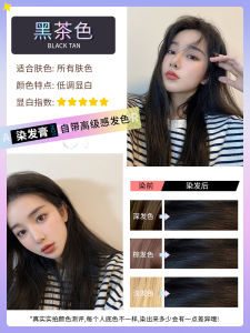 MORANDI TEA BROWN Hair Dyeing Paste Women Pure Black Tea Natural Cover Grey Hair Fog Sensation Hair Coloring Agent