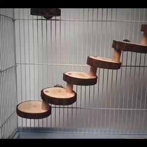 Wood Stand Platform For Sugar Glide Cage