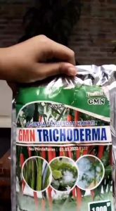 Pupuk hayati trikoderma 1 kg cegah akar gada pupuk GMN TRICHODERMA ampuh