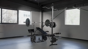 Multi-functional Bench Press Sit Up Board Home Gym Weight Lifting Fitness Equipment
