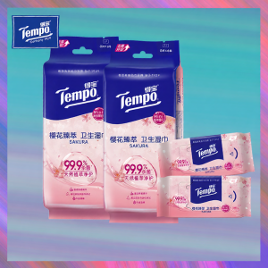 Tempo | Portable Antibacterial & Cleaning Wipes