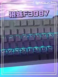 AULA | Wired Gaming and Office Mechanical Keyboard 87 Keys